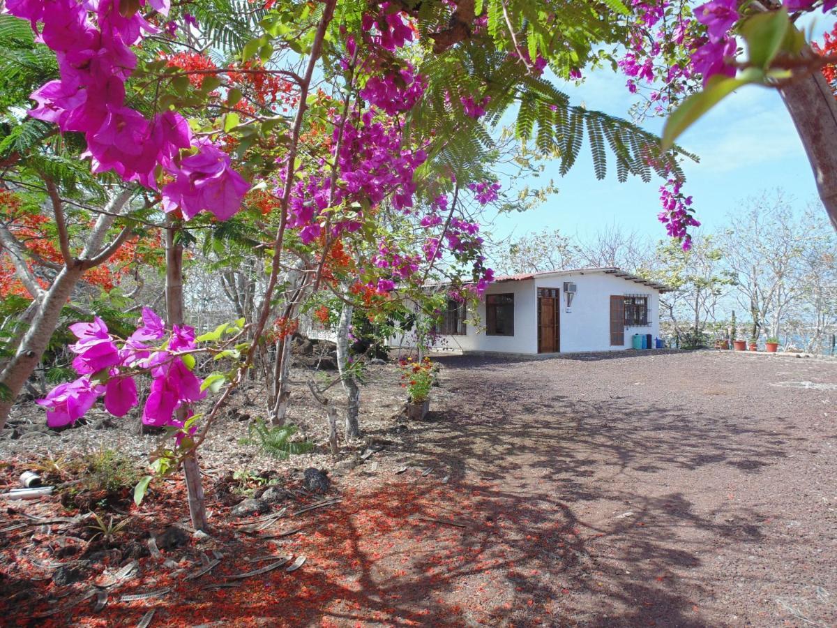 סן קריסטובל Casa Verde Vacation Garden Home מראה חיצוני תמונה