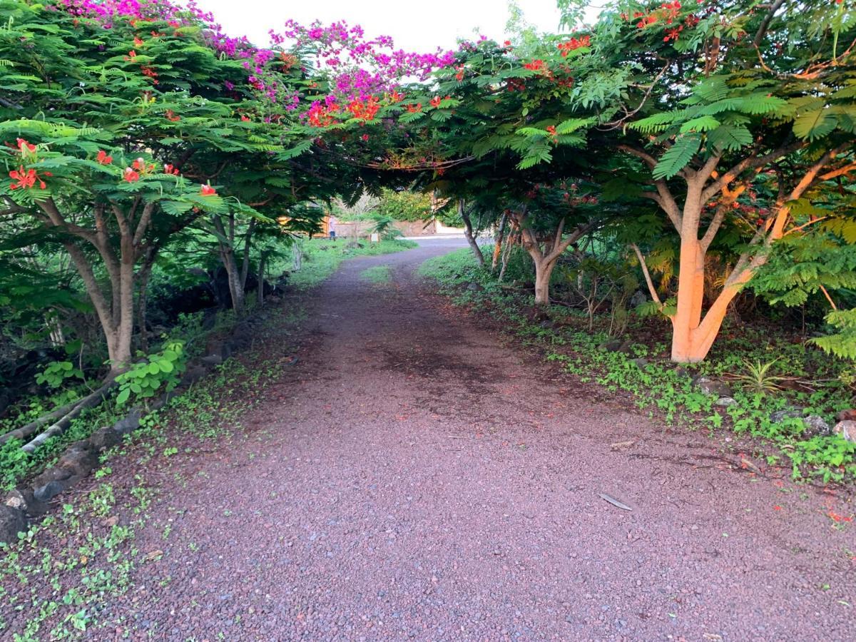 סן קריסטובל Casa Verde Vacation Garden Home מראה חיצוני תמונה
